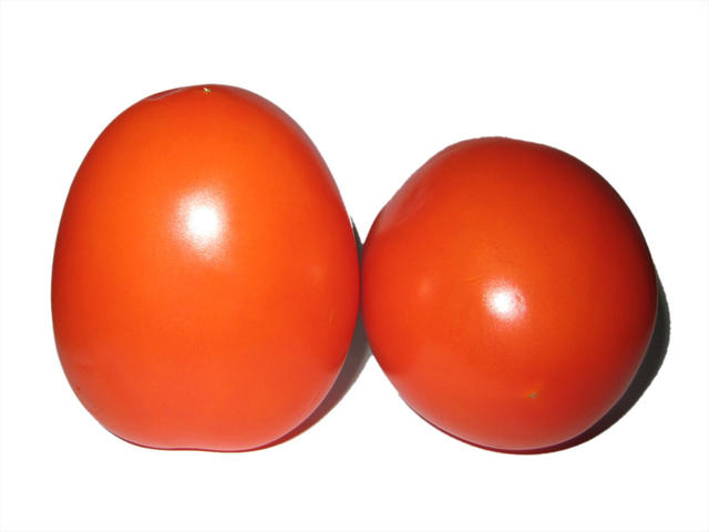 Fresh tomatoes - free image