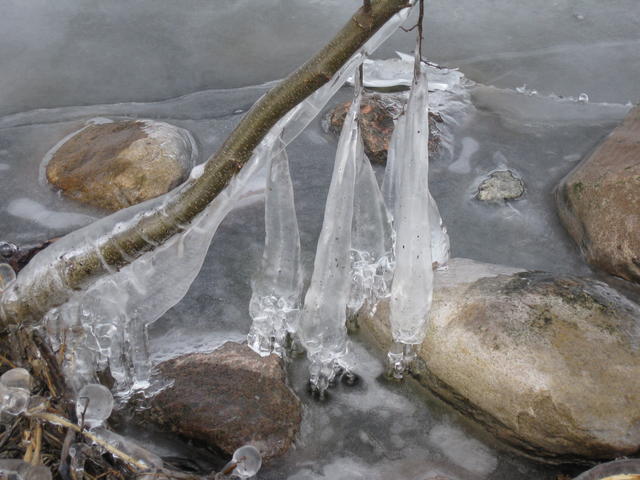 frost lake - free image