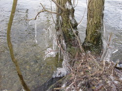 Frozen lakes