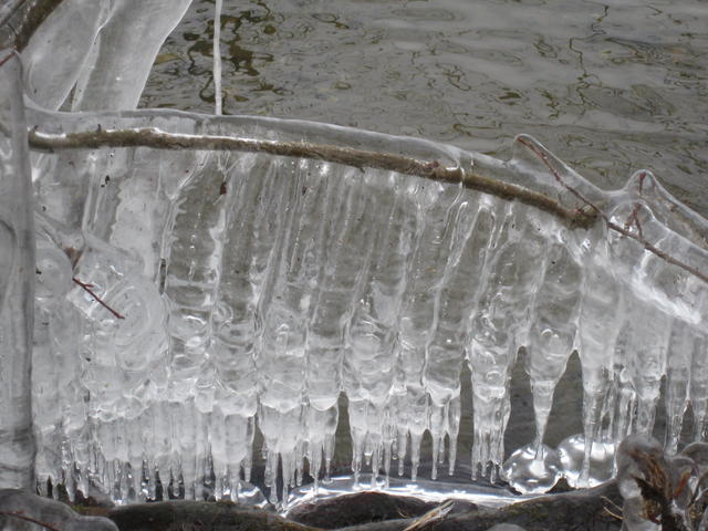 Frozen winter - free image