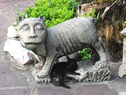 funny cat god with cat