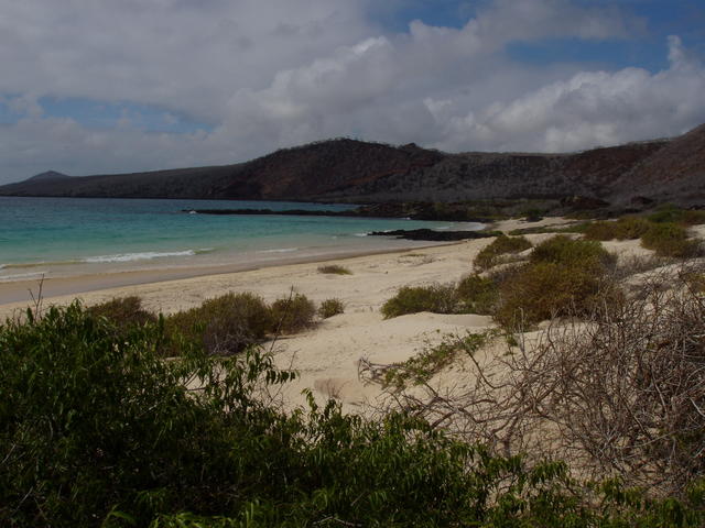 galapagos beach - free image