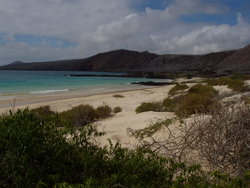 galapagos beach