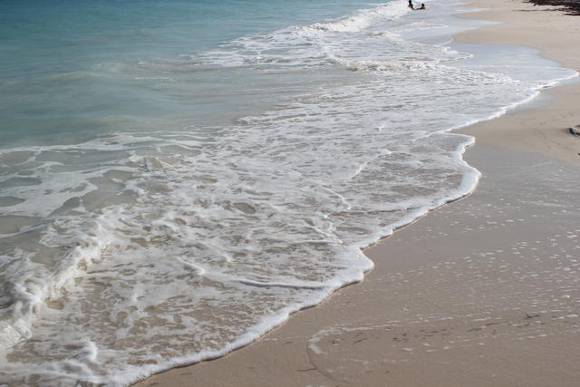 Gentle sea waves - free image