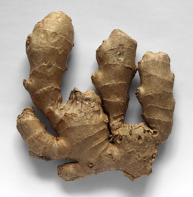 Ginger - free image