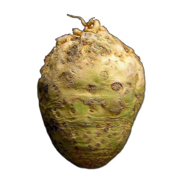 gnarly celery root - free image