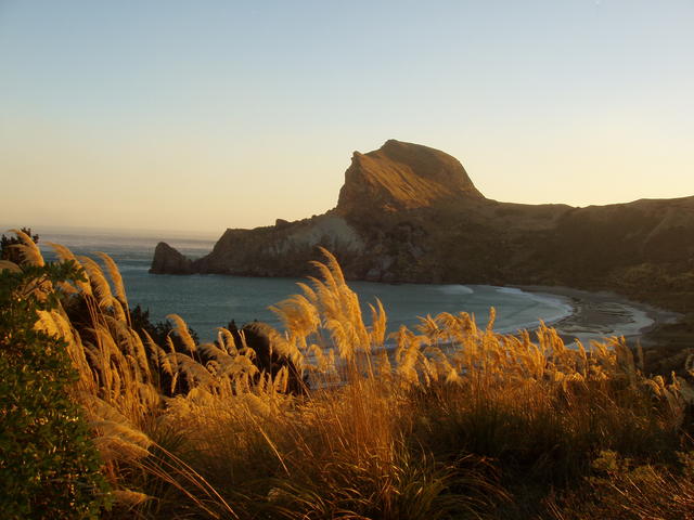 golden beach - free image