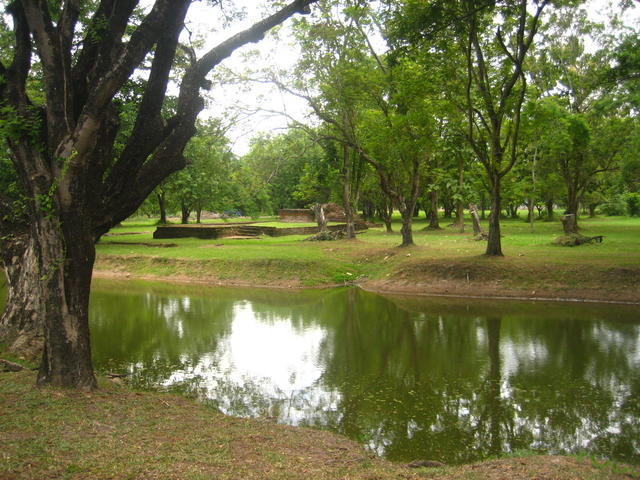 Golf course - free image