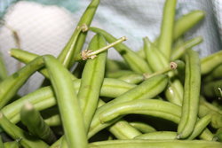 Green beans