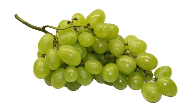 green grapes - free image