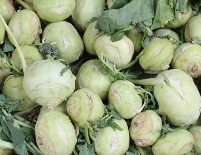 Green kohlrabi - free image