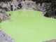 green pool