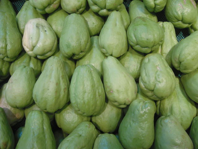 green squash - free image