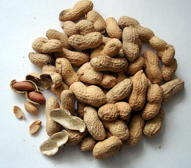 handful of peanuts - free image