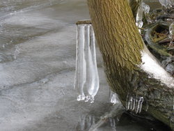 hanging piece of ice