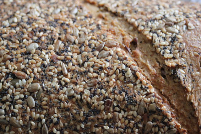 hard multi grain bread crust - free image