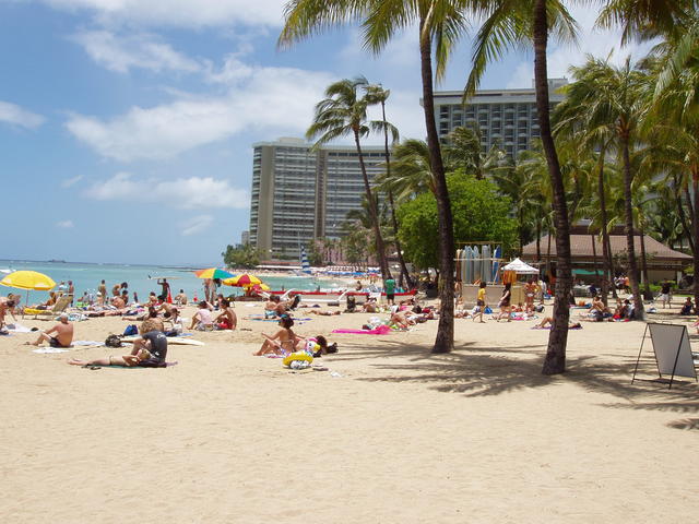 Hawaiian beach - free image