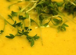 herbal pumpkin soup