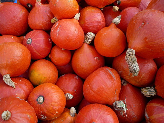 hokkaido pumpkins - free image