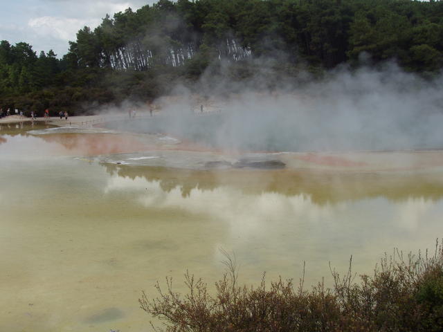 hot lake in New Zealand - free image