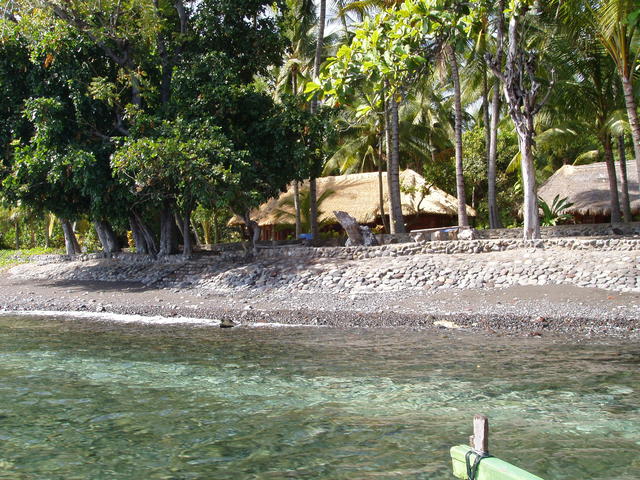 Houses next to sea - free image