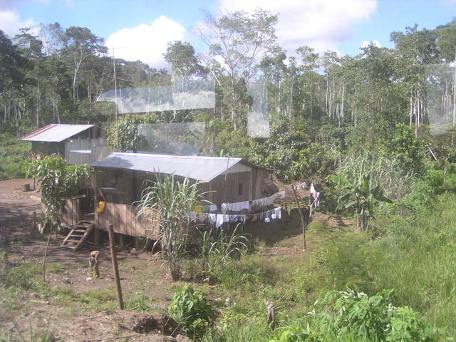 Hut in a forest - free image