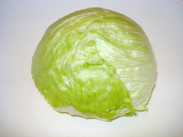 icberg elttuce - free image