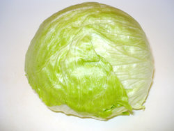 icberg elttuce