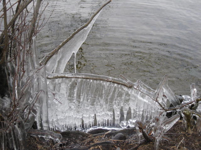 icicle - free image