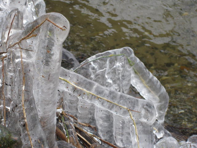 icicle - free image