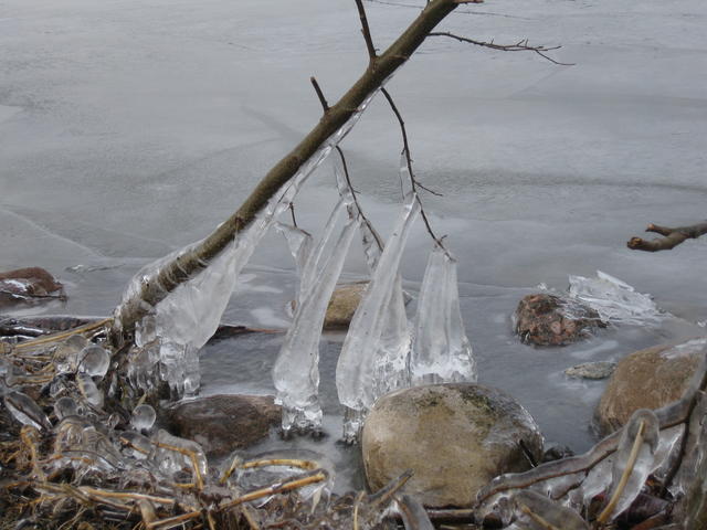 icicles - free image