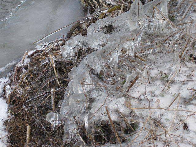 icicles at the foot - free image