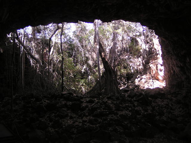 In the cave - free image
