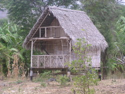 indogenous house