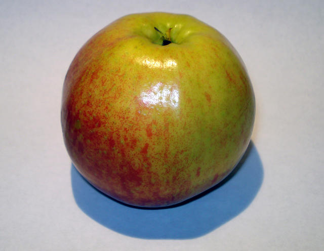 Juicy apple - free image