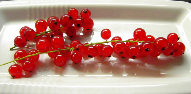 juicy red currants - free image