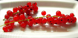 juicy red currants