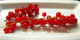 juicy red currants