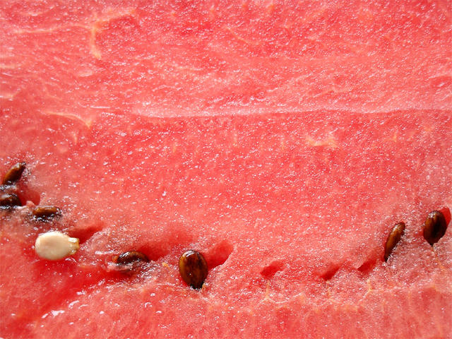 juicy watermelon - free image