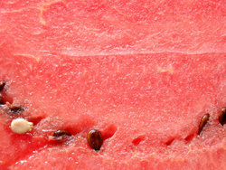 juicy watermelon