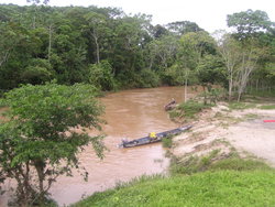 jungle river