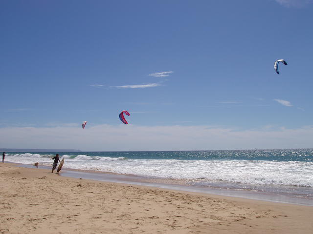 kites and beach - free image