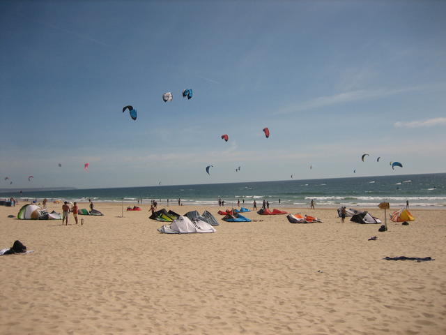 Kites at a beach - free image