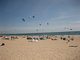 Kites at a beach