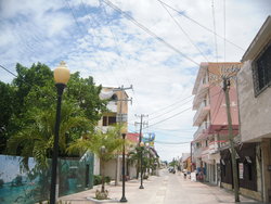 lamp posts and buildings