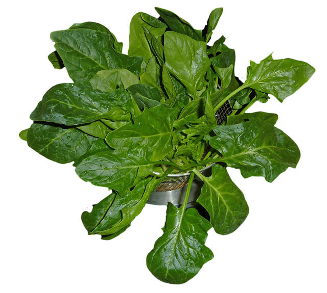 leafy spinach - free image