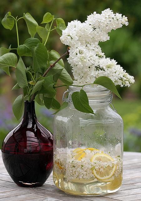 lilac syrup in a jar - free image