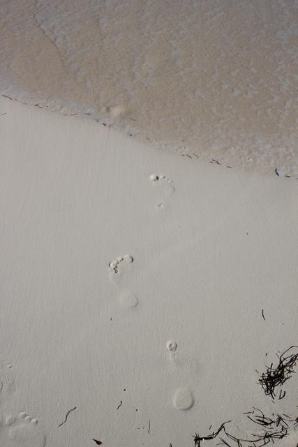 man walked into the sea - free image