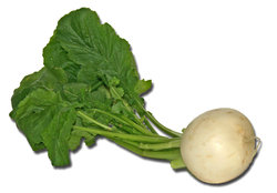 may turnip