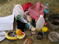 messy picnic